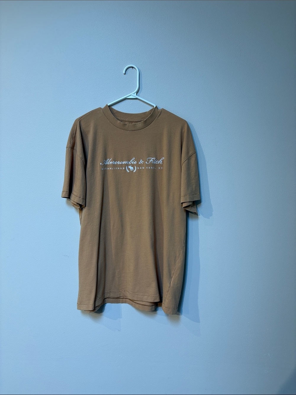 Abercrombie & Fitch Brown Logo Short Sleeve Tee